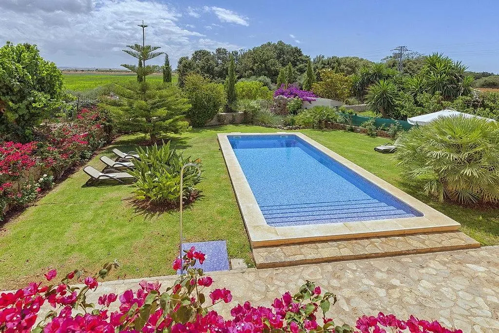 Finca Antonio Buger